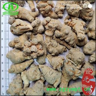 世元药业 三七水洗滑头不打蜡标准120头 云南 性价比高 田七 金不换 37图3