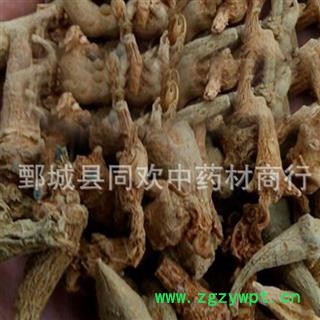 【无数头三七芽】@【同欢药材】中药材批发供应  规格齐全 量大从优  产地 云南省图2