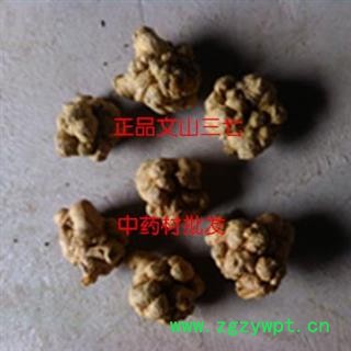 三七 水洗三七 30头 产地 云南省文山壮族苗族自治州文山县图2