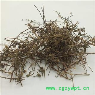 白花蛇舌草 蛇草 正品 纯净 假一赔万  大货便宜出售 过筛无沫 为冲销量 货好价格低图2