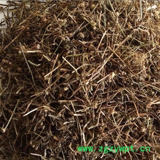 白花蛇舌草 蛇舌草 1000克图2