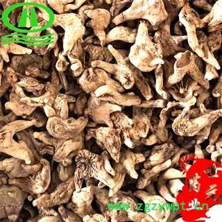 世元药业 旱白芨统个 家种无硫 白及 白笈 白鸡 连及草 甘根 白给 箬兰 朱兰 紫兰 苞舌兰 紫蕙 百笠图2