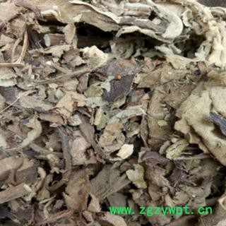 安祁名药艾纳香 大枫草 牛耳枫图2