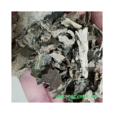 安祁名药艾纳香 大枫草 牛耳枫