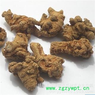 田七头 20头1000克 文山三七图2