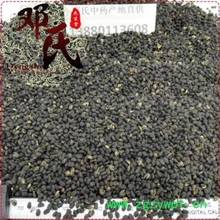 补骨脂 破故纸 婆固脂 黑故子 无硫统货 优选品质 产地直供 邓氏中药材批发图3