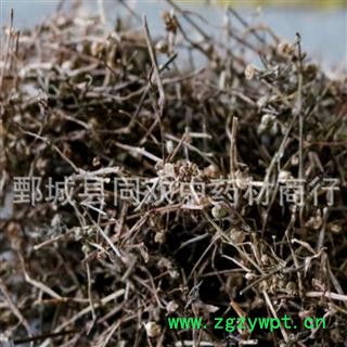 【白花蛇舌草】@【同欢药材】中药材批发供应 规格齐全 量大从优  产地 江西省图2