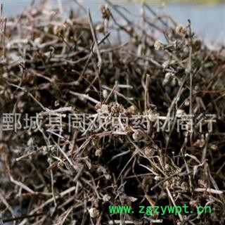 【白花蛇舌草】@【同欢药材】中药材批发供应 规格齐全 量大从优  产地 江西省图3