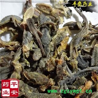 壁虎 正品国产 完整 新货 另有进口货 别称守宫 爬壁虎 爬墙虎 四脚蛇 巴壁虎 蝎虎 天龙 檐蛇 檐龙图2