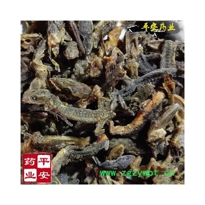 壁虎 正品国产 完整 新货 另有进口货 别称守宫 爬壁虎 爬墙虎 四脚蛇 巴壁虎 蝎虎 天龙 檐蛇 檐龙