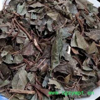 新辉药业矮地茶  平地木   不出林图2