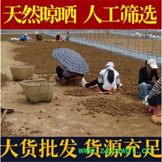 三七 40头三七不超45头水洗货 产地 云南省文山壮族苗族自治州文山县图2