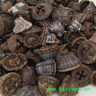 诺源药材行一口钟 云南 产地 北京市图2