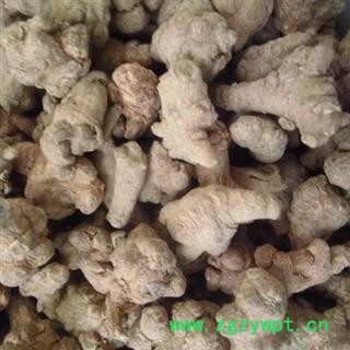 三七 60头 好统 产地 云南省文山壮族苗族自治州文山县 库存 200公斤可售图2