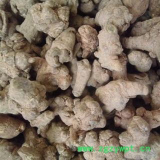 三七 60头 好统 产地 云南省文山壮族苗族自治州文山县 库存 200公斤可售图3