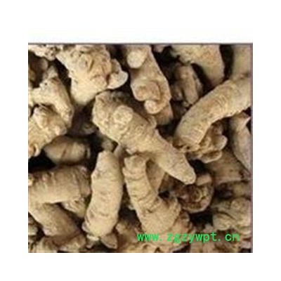 三七 剪口条七100头 产地 云南省