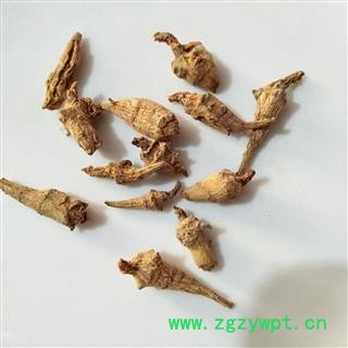 三七 水洗三七芽 产地 云南省图3