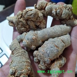 三七 三七30头水洗纯干 产地 云南省图2