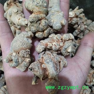 三七 三七30头水洗纯干 产地 云南省图3