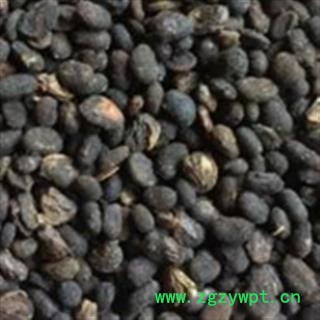 黑故子 补骨脂饱满统货 产地 广西壮族自治区图2