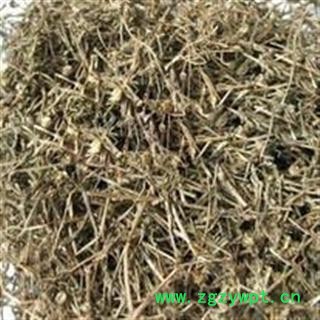 白花蛇舌草 白花蛇舌草家种选段   产地 河南省图2