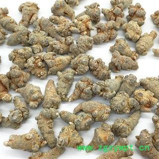 三七 文山 标准60头水洗好货 货干好打 为冲销量 货好价低图2