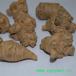 三七 统货 产地 云南省文山壮族苗族自治州文山县图2