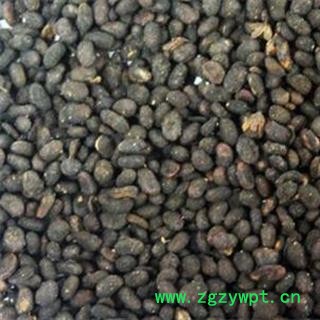 补骨脂 补骨脂饱满统货 产地 云南省 产地直销 重在质量图2