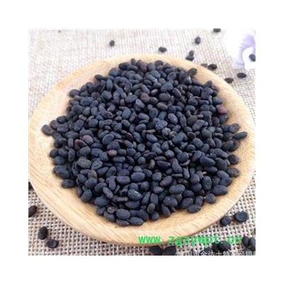 补骨脂 补骨脂饱满统货 产地 云南省 产地直销 重在质量