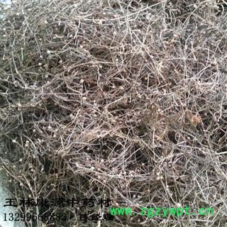 产地直销   （天然野生）白花蛇舌草  12元/公斤图3