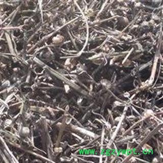 《满198包邮》白花蛇舌草 白花蛇舌草 新货青色选段 产地直销  颜色好 产地 河南省