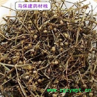 白花蛇舌草 好统段 过筛无灰尘  产地直销图2