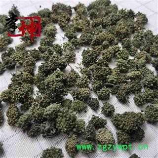 【99包邮】三七花（250g） 无柄大花 云南文山产 3年三七花 特价销售，售完即止！图3