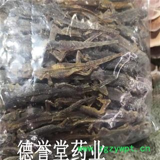 壁虎 选 天龙 壁虎  产地 广西  德誉堂批发各种中药材图2