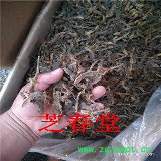 芝春堂 中药材批发 干壁虎 天龙 守宫 各种规格  代加工细粉图4