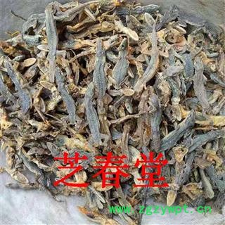 芝春堂 中药材批发 干壁虎 天龙 守宫 各种规格  代加工细粉图2