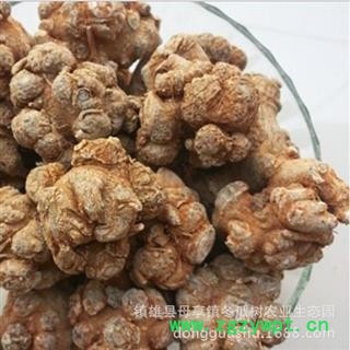 云南文山 三七头 30头1000克图2