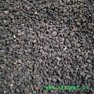 补骨脂 产地直销新货过风车补骨脂饱满统货 产地 天津市市辖区和平区图2