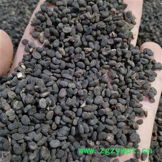 补骨脂 产地直销新货过风车补骨脂饱满统货 产地 天津市市辖区和平区图3