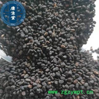 【康生堂】补骨脂 补骨脂饱满好统货 产地 云南省产地货源质量保障图3