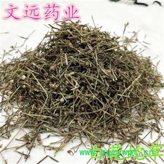 白花蛇舌草 统装 正品 白花蛇草 产地 江西省图2