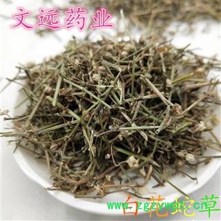 白花蛇舌草 统装 正品 白花蛇草 产地 江西省图3