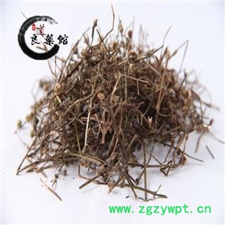 白花蛇舌草 选装 白花蛇草 产地 广西省蛇舌草、羊须草、蛇总管1000克图2