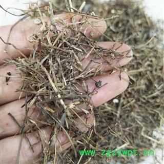 【满包邮】白花蛇舌草统货散装广西产地直供沁信源中药批发图3