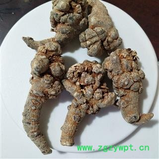 三七 三七20头标准20头三七纯干水洗货保证质量 产地 云南省图4