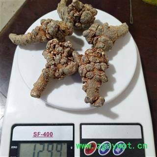 三七 三七20头标准20头三七纯干水洗货保证质量 产地 云南省图3