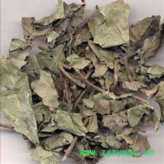 吉康药业艾纳香  大风艾 牛耳艾 大风叶 紫再枫 再风艾 大艾 大枫草 大骨风图2