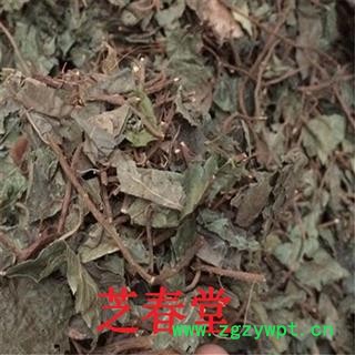 芝春堂 中药材批发零售冷背统片优质无硫平地木叶下红图2