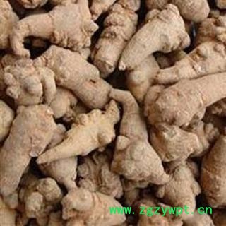 小丽百草行三七 文山三七50头图2