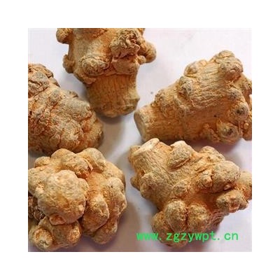 文山 三七 40头三七优质水洗 产地 云南省文山壮族苗族自治州文山县